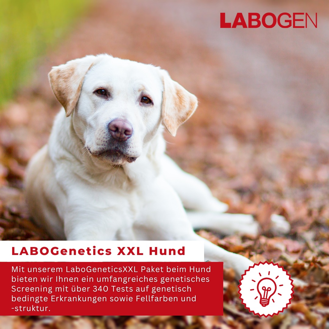 Labogen - Die Genetik von Laboklin | Bad Kissingen