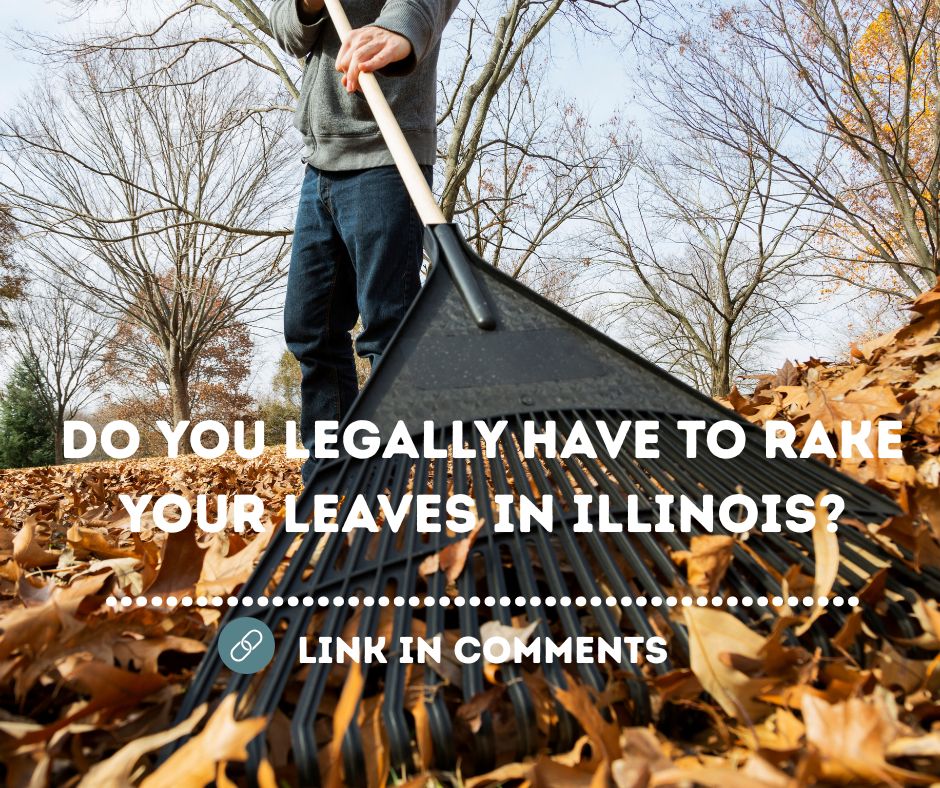 97.9 - 🍂To Rake or not to Rake Your Leaves this Fall🍂 | Facebook