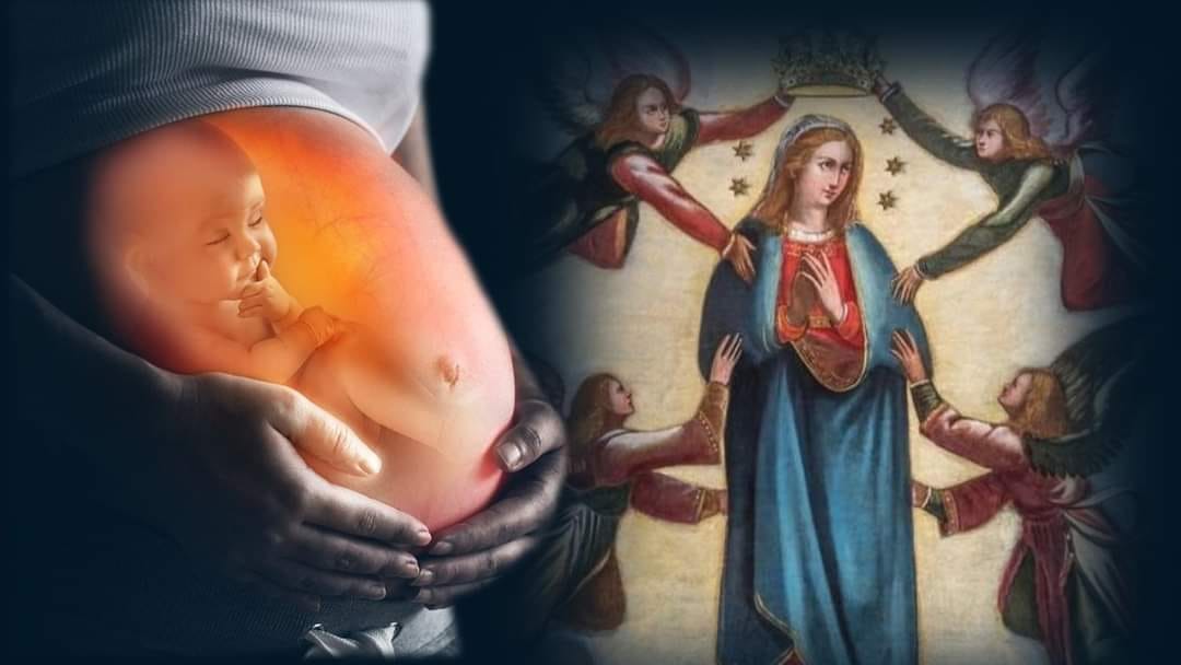 Hawn jien - Qassis, Soru U Patri – Kollha MILL-ISTESS Ġuf... Li jkollok ...