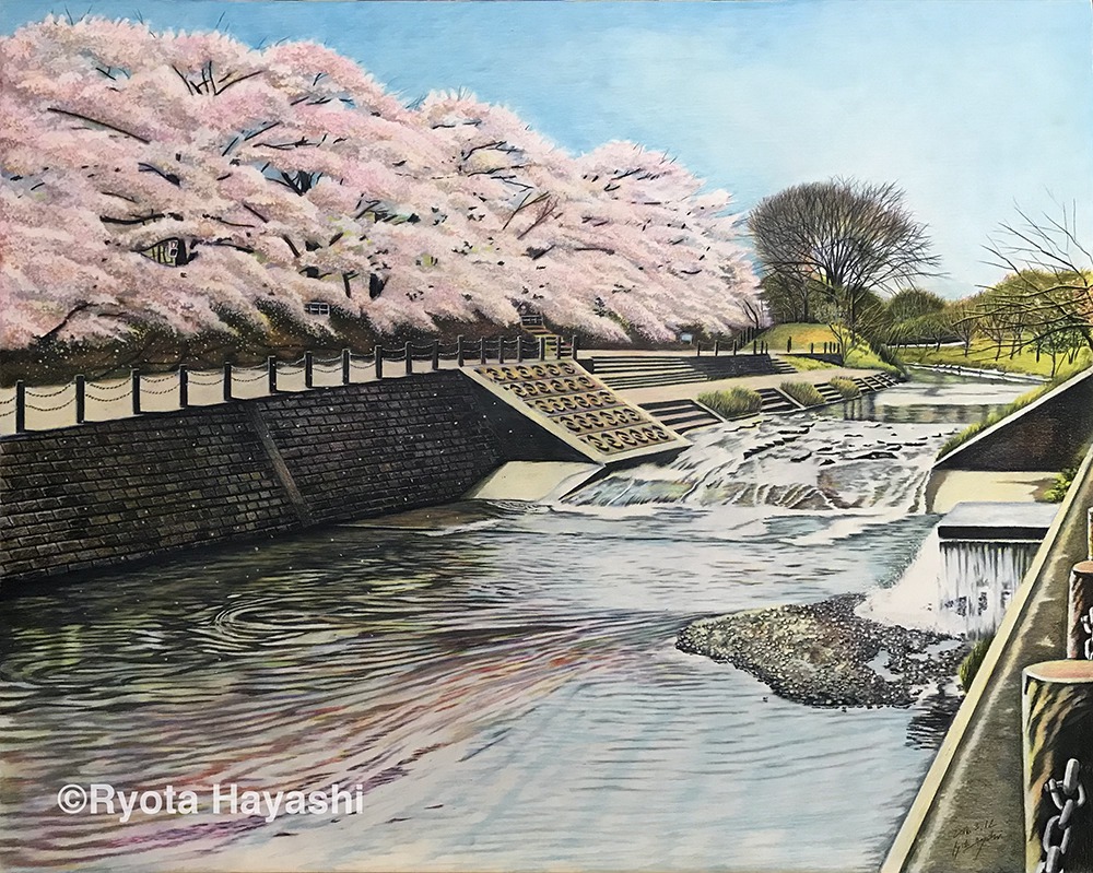 色鉛筆画家 林 - 桜の便りに誘われて 第1回 春色の流れ 清瀬市金山緑地
