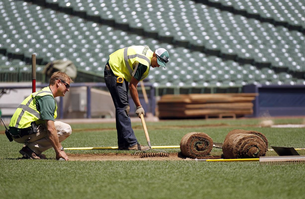 Bush Turf - A Different Kind of Pitch: See the @Brewers...