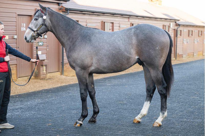 Stephen Hanlon Racing | Constable Burton