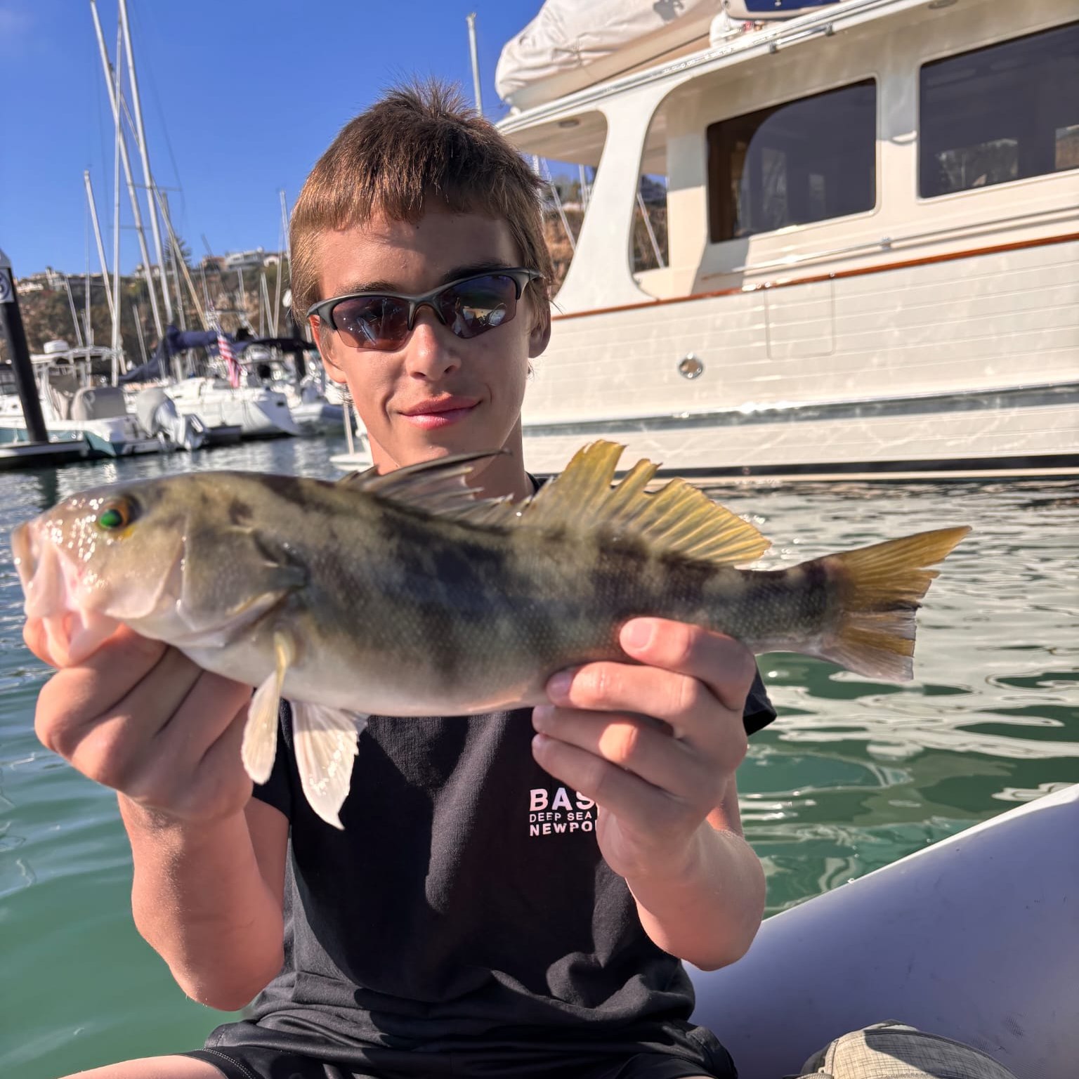 Which fish have we got here? Your Saltwater Guide is Sponsored by