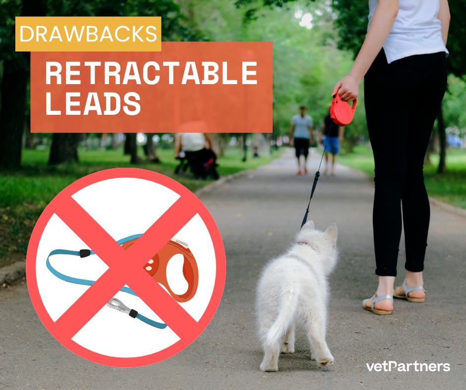 Tameside - Thinking of using a retractable lead? 🤔 Here’s why you might ...