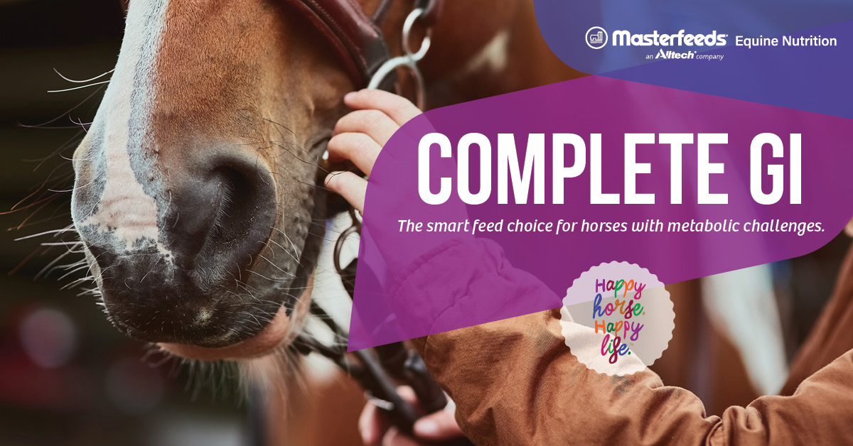 Masterfeeds Horse Feeds
