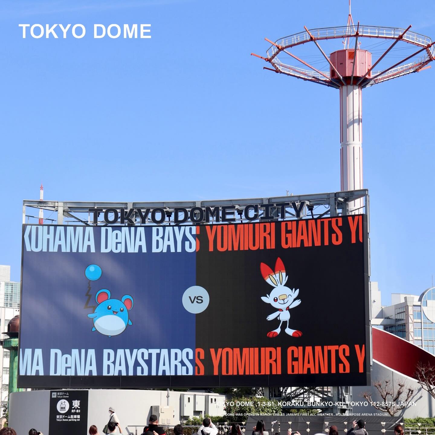 本日 の 東京 ドーム