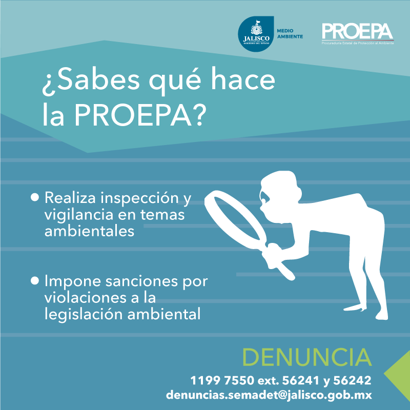 ¿Sabes qué es la PROEPA? #MedioAmbiente - Sega Consultores