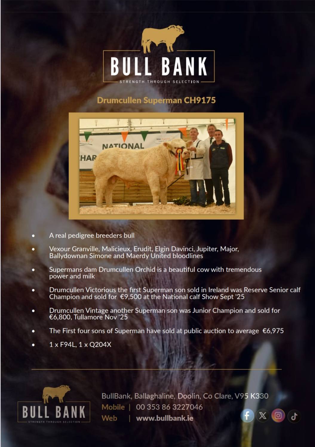 BullBank - BullBank added a new photo.