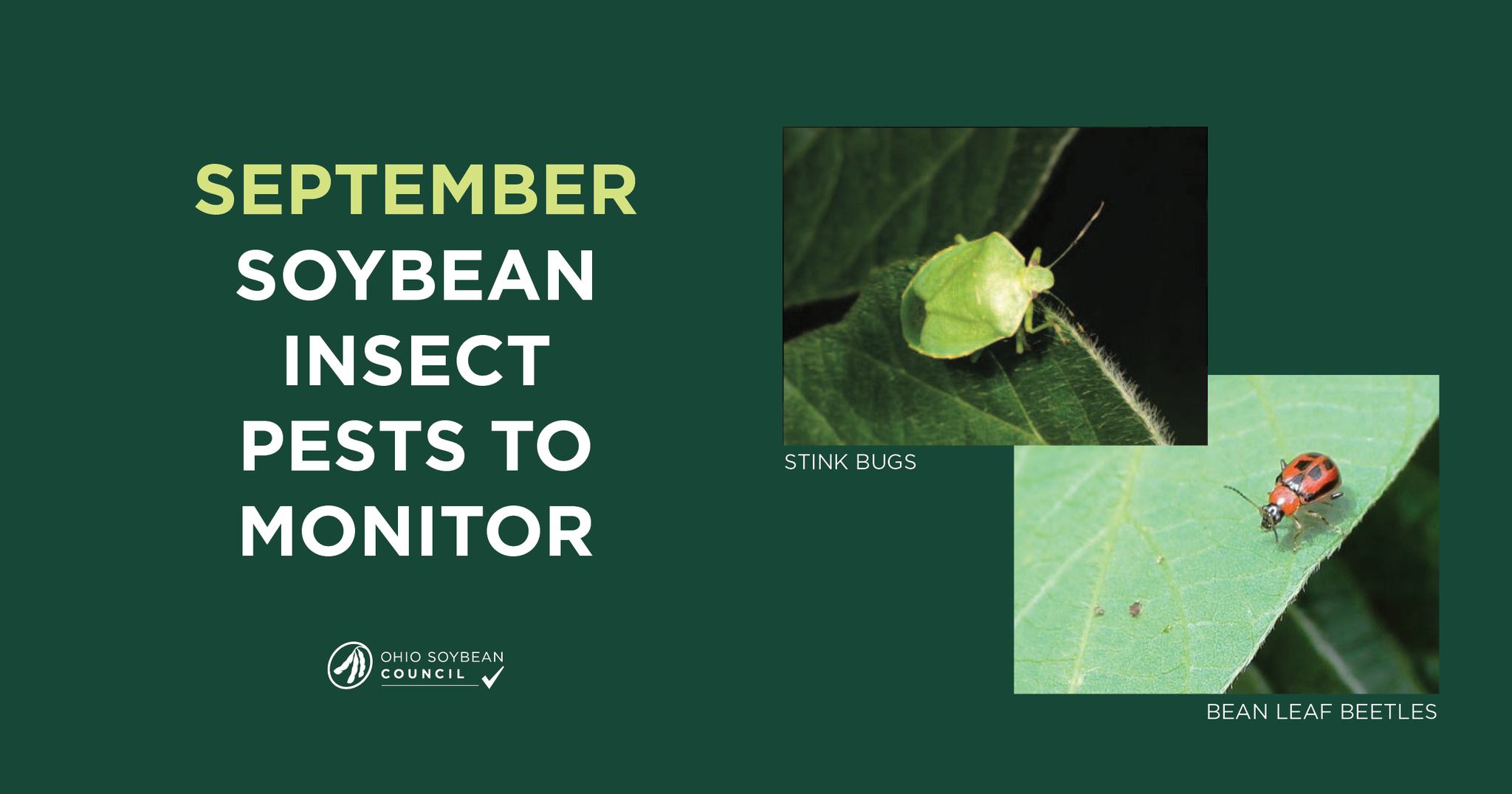 Ohio Soybean Council added a new photo. - Ohio Soybean Council