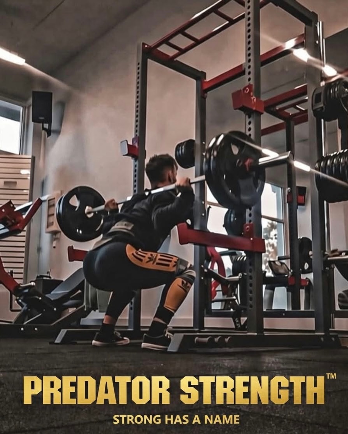 Introducing the Predator Strength... - Predator Strength | Facebook