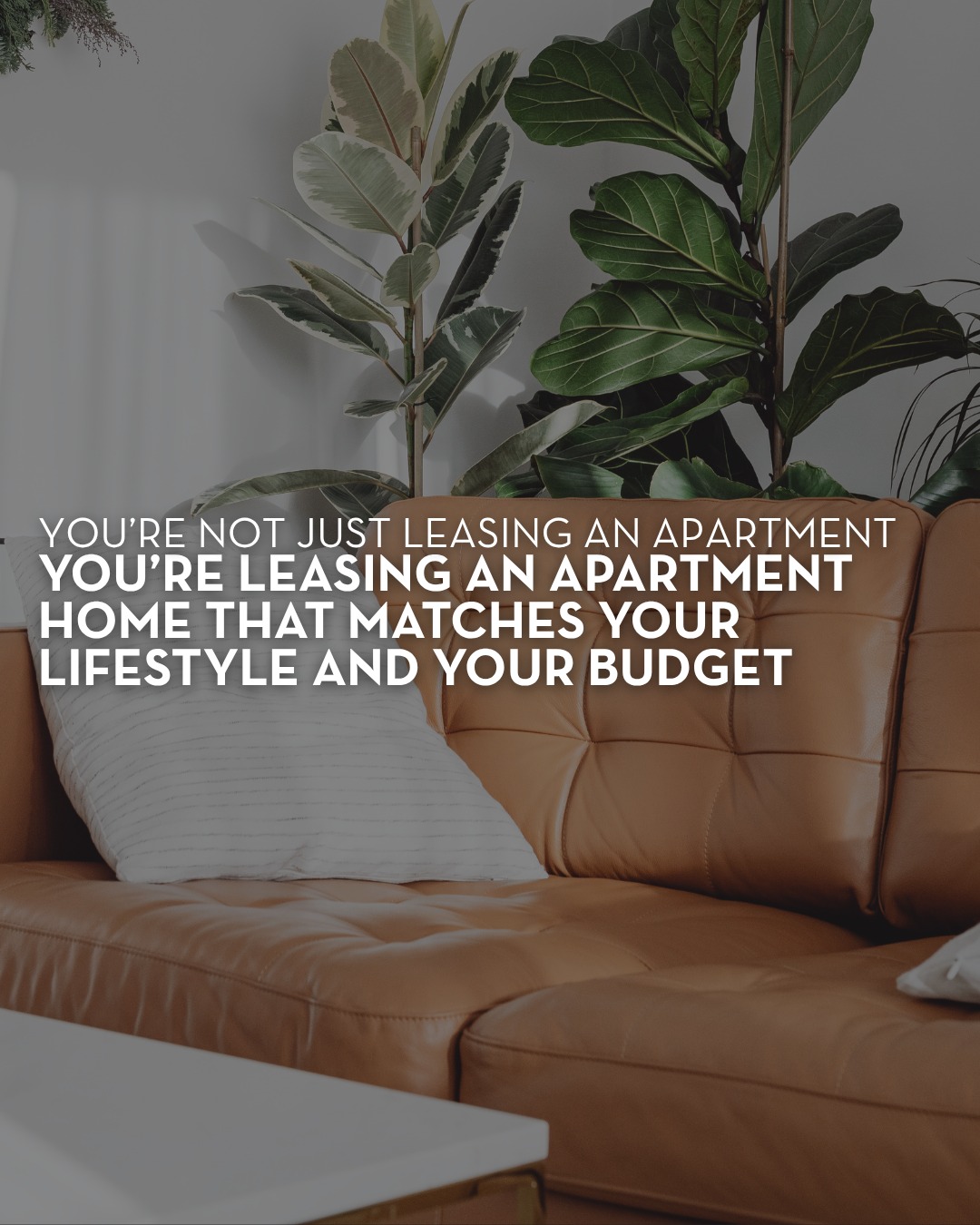 Your dream apartment... - Lakes of Northdale Apartment Homes | Facebook