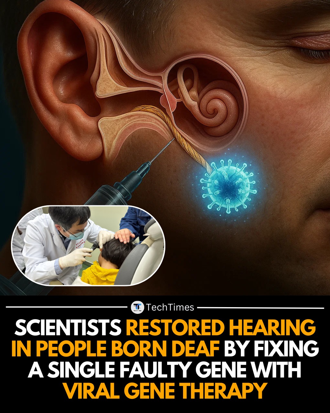 Engineering - For the first time in medical history, researchers have ...