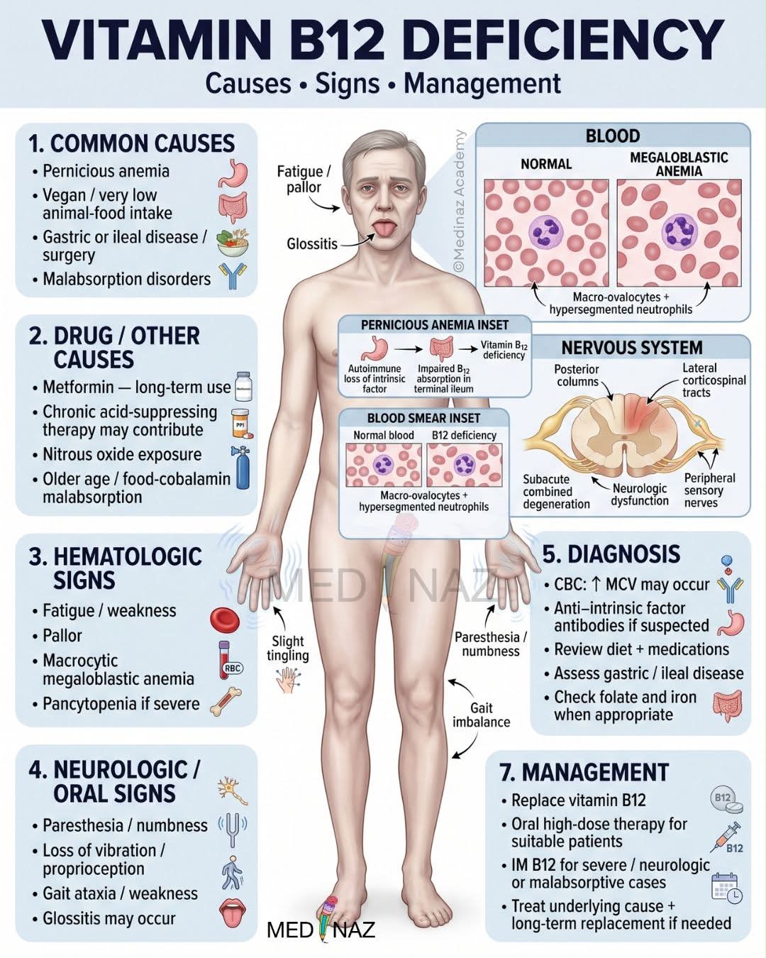 vitamin b12 injection symptoms deficiency causes, signs & management: Vitamin B12 deficiency means the body does not have enough vitamin B12 to make healthy red blood cells and support nerve function. It can cause NOW SHOTS B12 ENERGY Vitamin D3 Injection Vial Size:30ml Vial