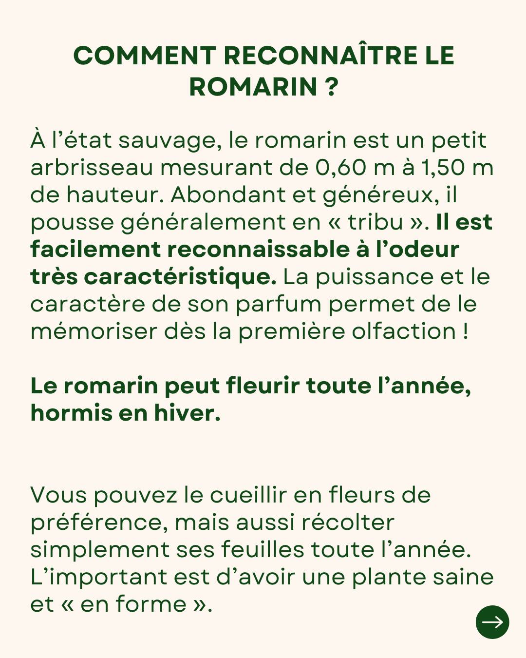 Apprendre - Les SDF pratiquent la survie au quotidien. Ils évoluent ...
