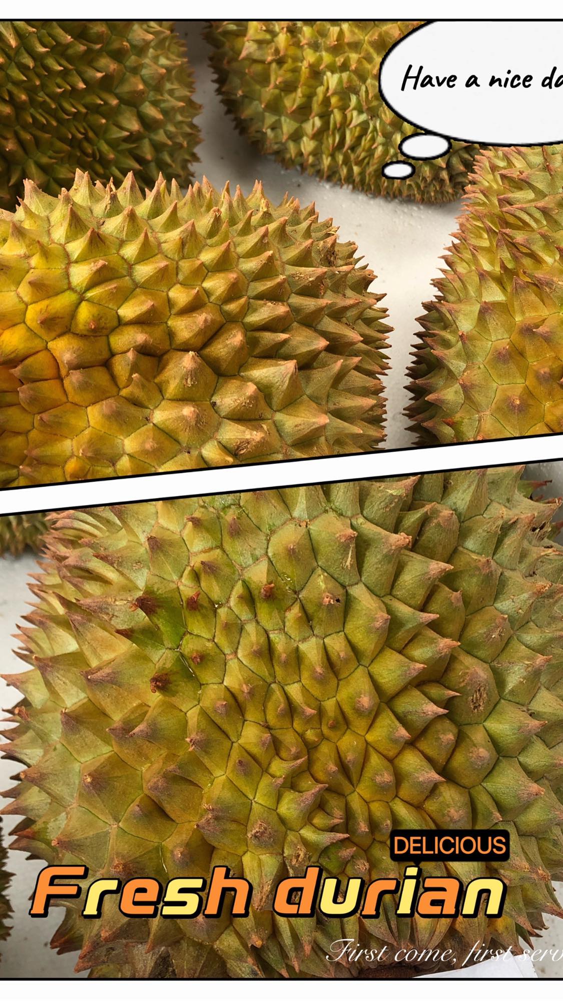 NEW ITEM!!! Fresh Durian in package, just arrived today :)