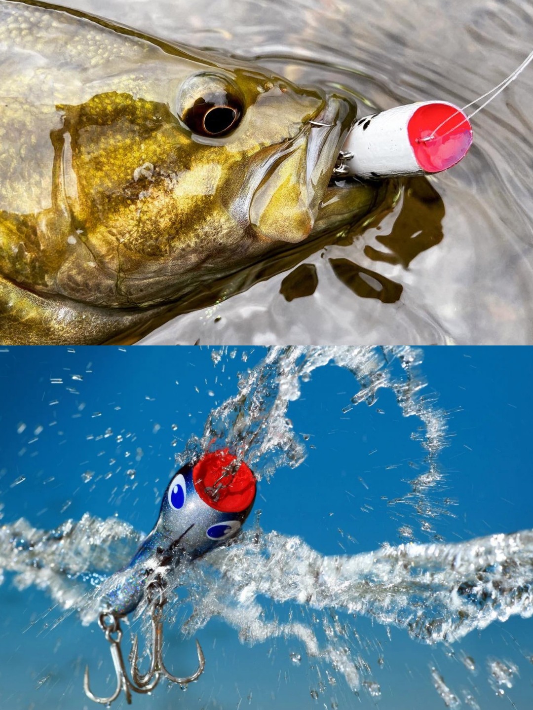 bike helmet tightener JACKAL KINETICORE plush stuffed animal Twine Size:30 comfortable fit Joy Fish monofilament Fishing