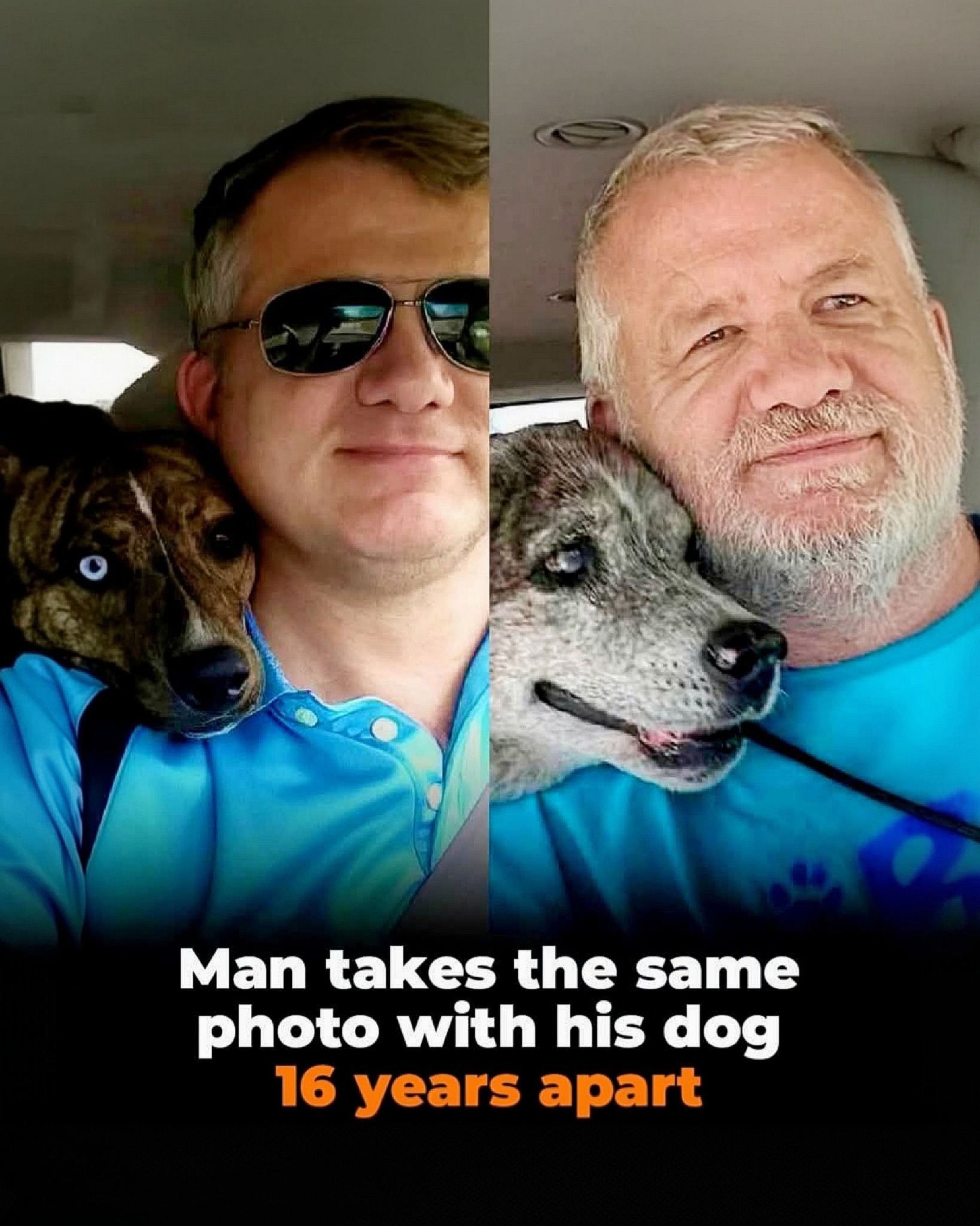 Dogs - In the first photo, the puppy barely fit on the passenger seat ...
