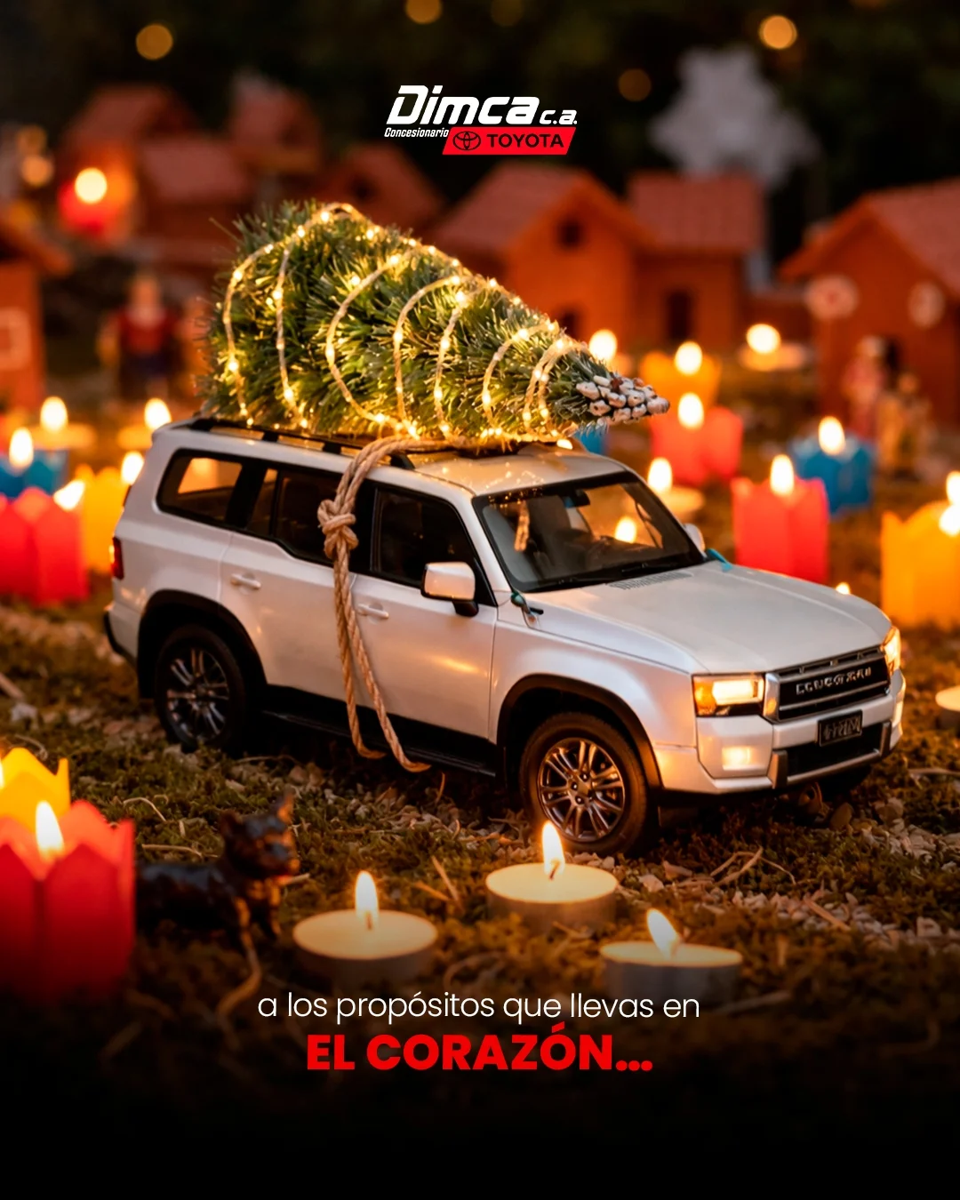 Dimca concesionario Toyota