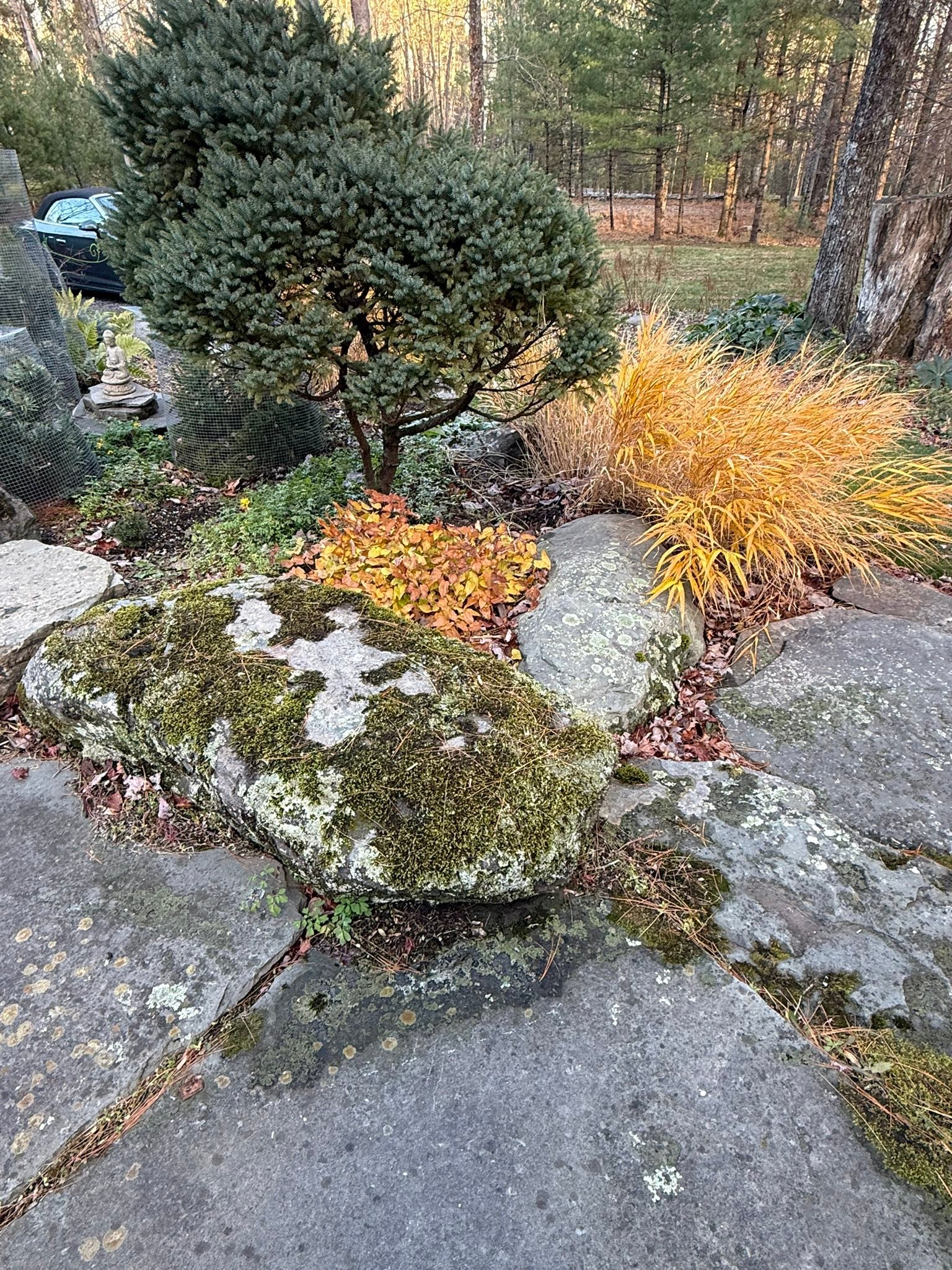 Victoria Gardens NY | Rosendale NY