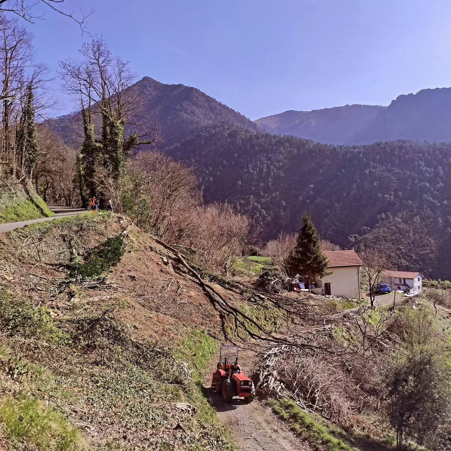 @radschool.mtb @ivanfalvo_dh @bikappa_bikes @fitactivegenovadante ...