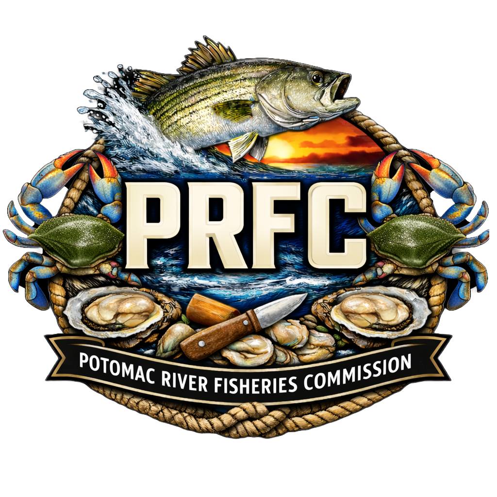 Attention: JOB... - Potomac River Fisheries Commission | Facebook