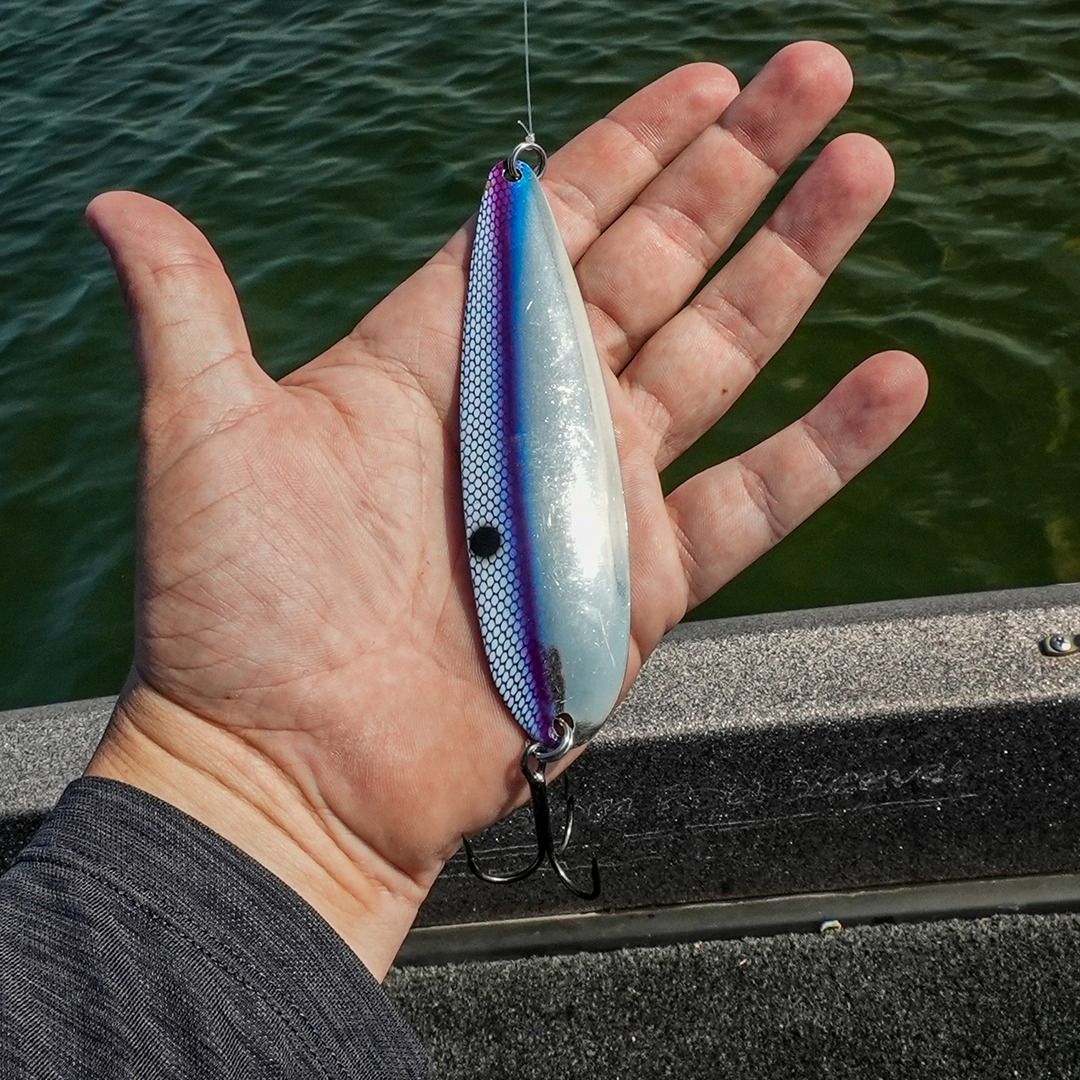 bass lure selector Fishing Lures Tackle Box Kit with Plier,Saltwater & Freshwater Baits SALTWATER LURE COLOUR SELECTOR DIAL