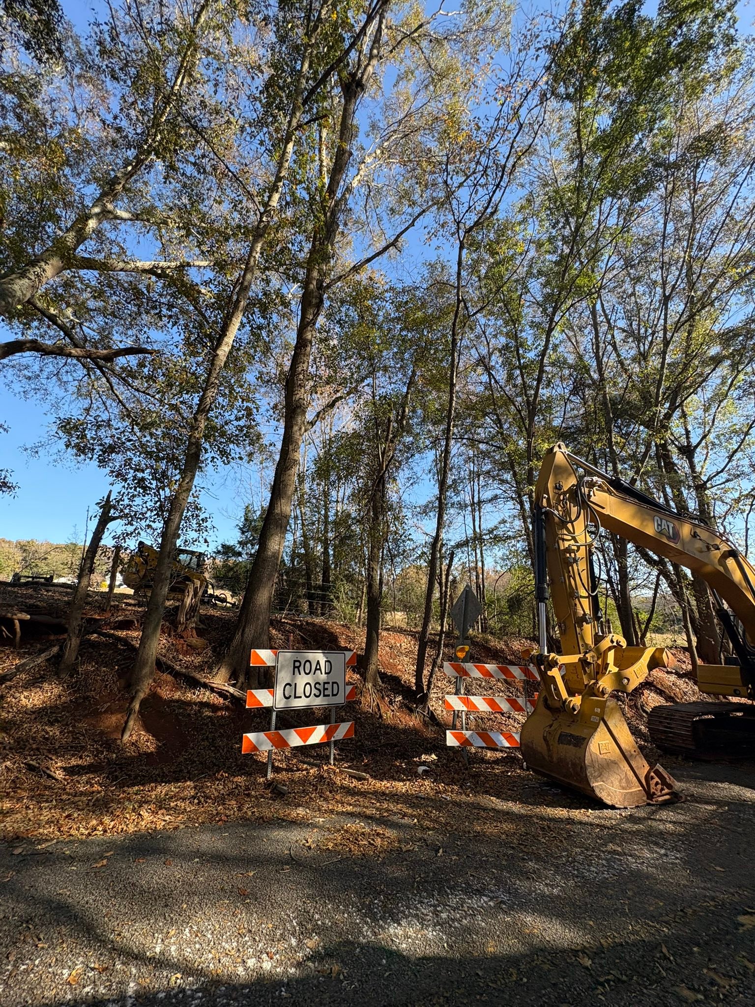 Top Flight Tree Service | Greenville SC