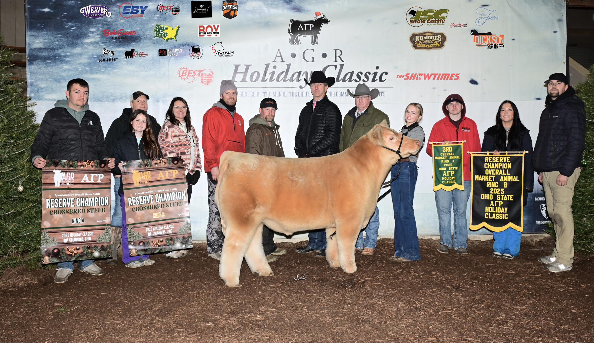 Dupler Cattle | Mount Perry OH