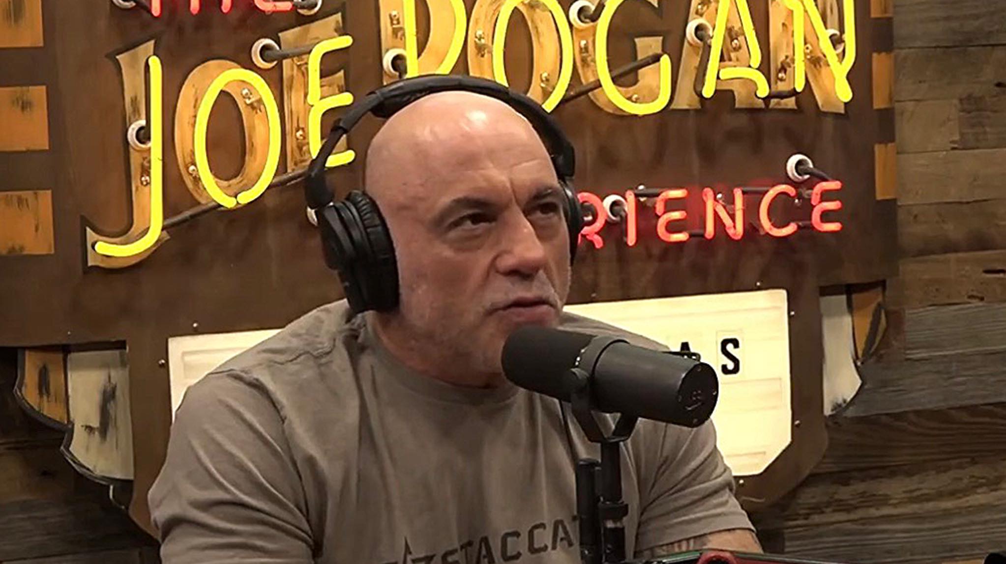 Kings - Joe Rogan said in a recent discussion that what he has seen ...