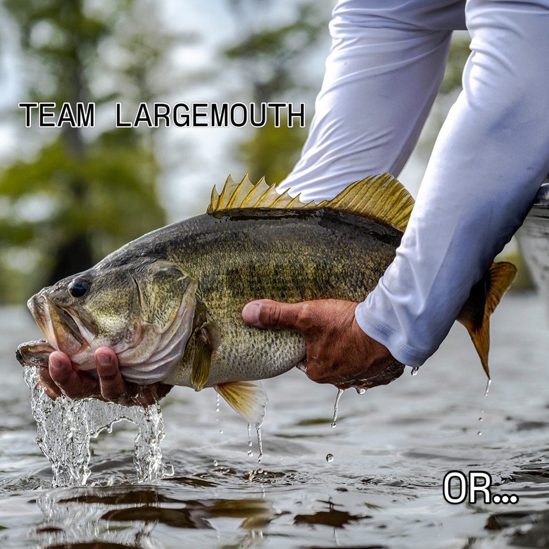abu garcia fantasista beast musky rods FNXC73-6 X Casting Rod performing rods. Abu Garcia Fantasista Premier FNPC70-6