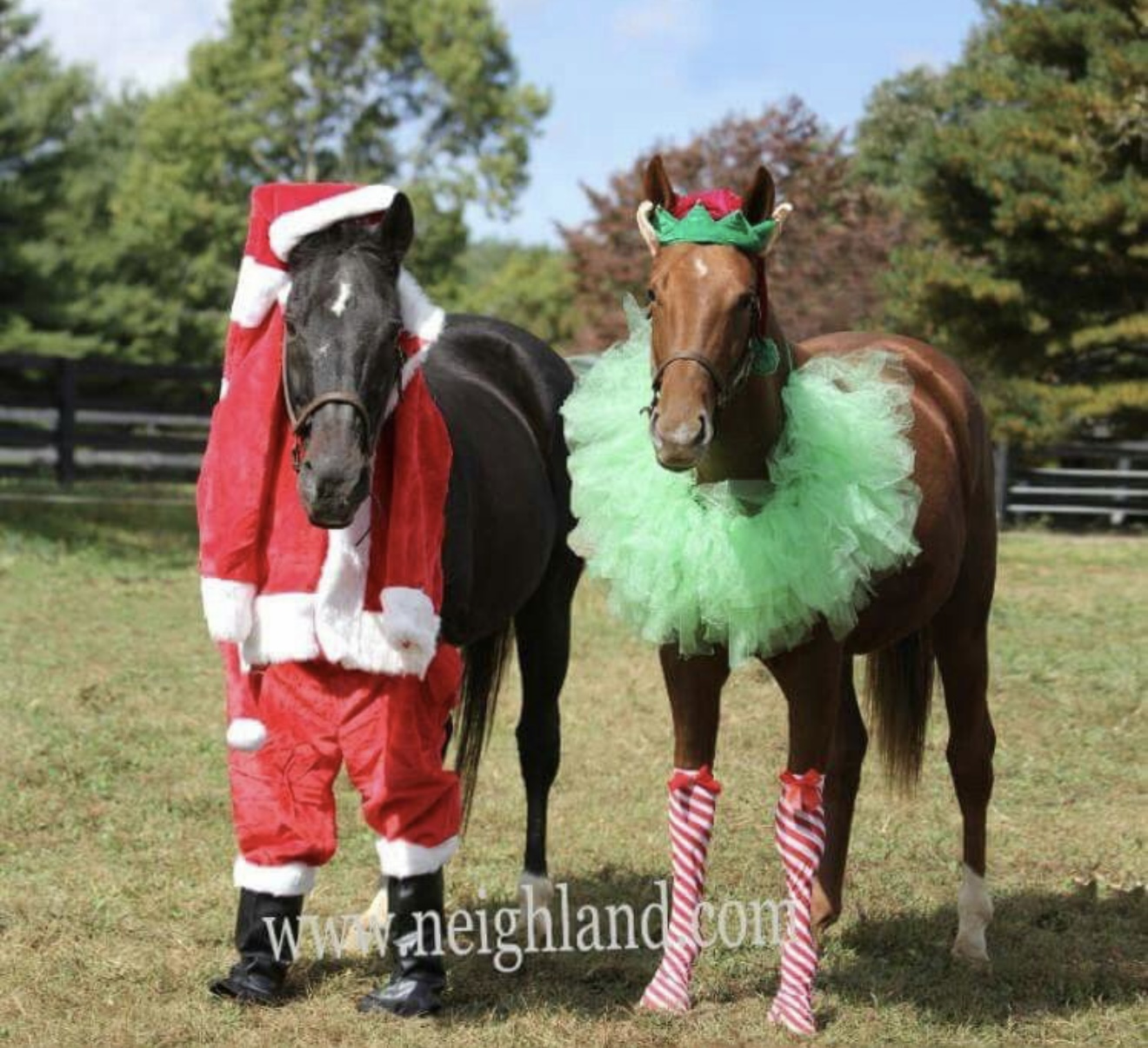 horse christmas dress up ideas parade costume way stretch premium Lycra