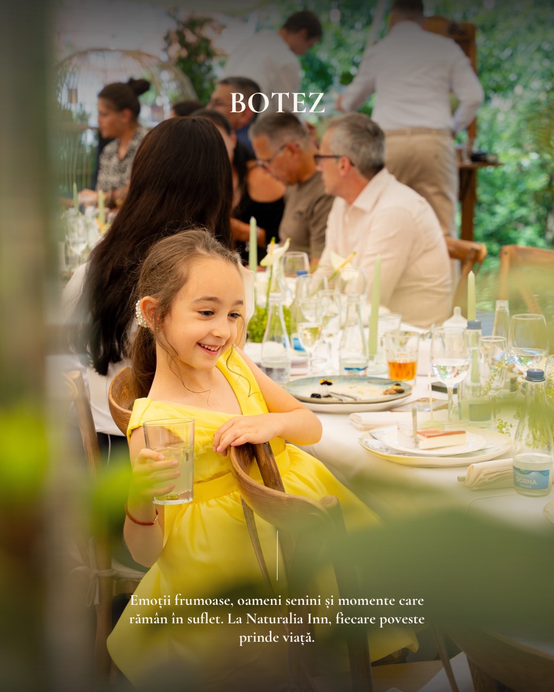Naturalia Inn | Brasov