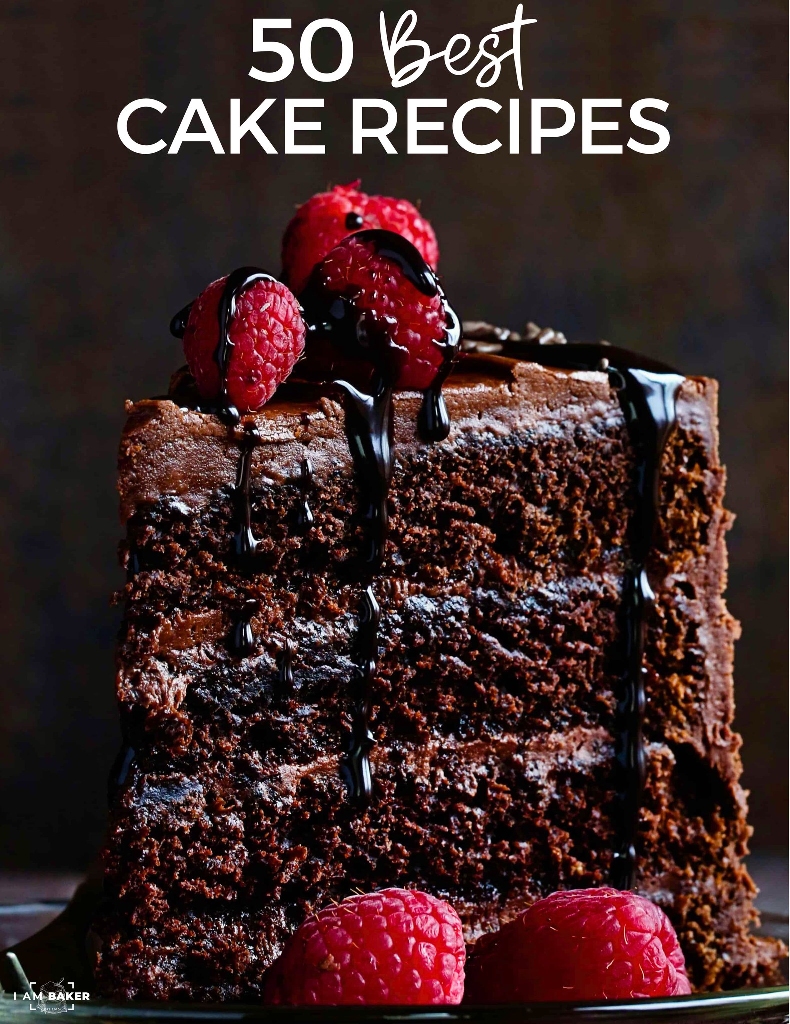 I am - SEE THE RECIPES: https://iambaker.net/cake-recipes/ From the #1 ...