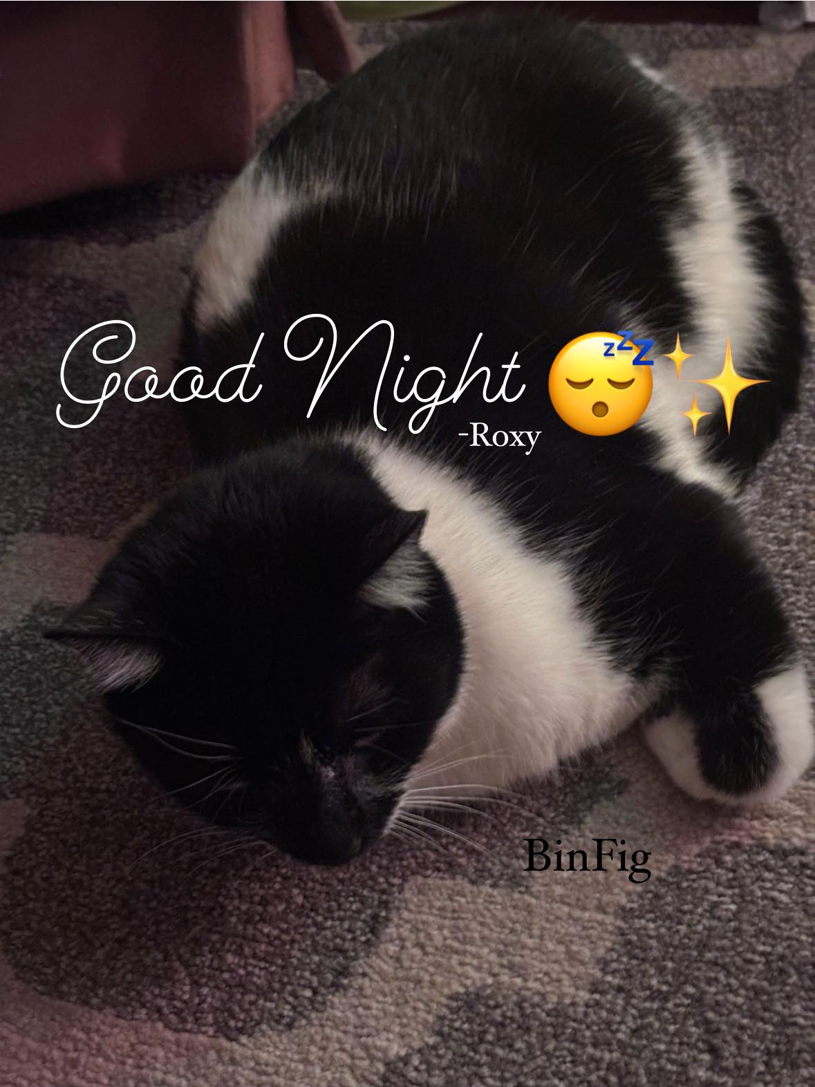 BinFig - “Wishing you a blessed, cozy, wonderful and good... | Facebook