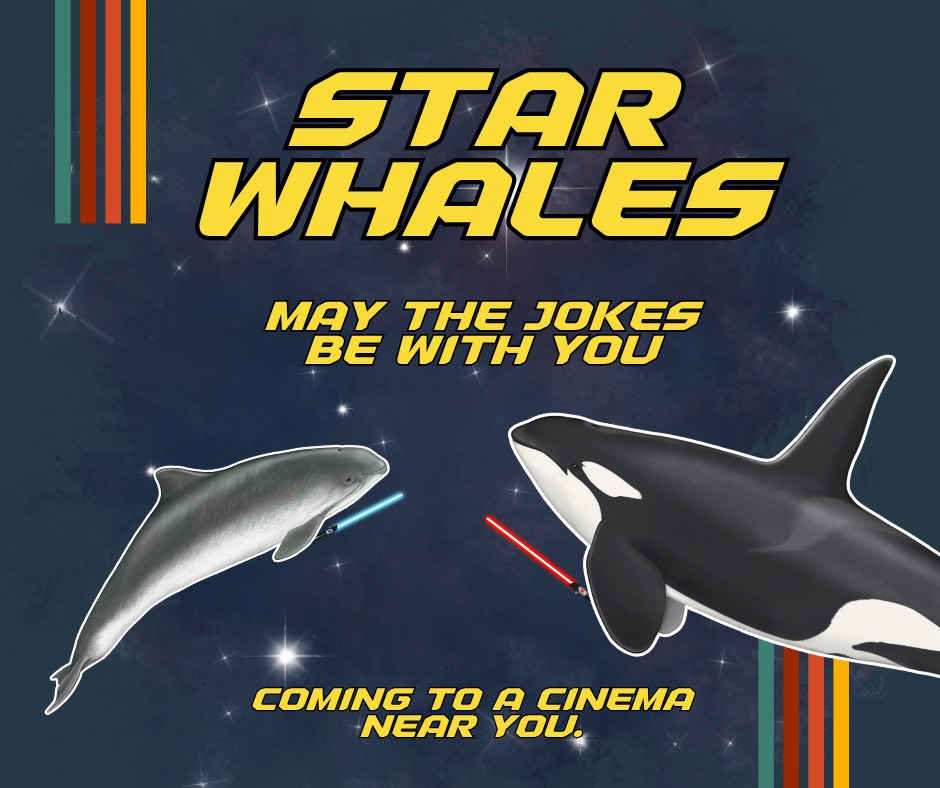 May the “orca” be with you! Happy Star Wars Day! You know the