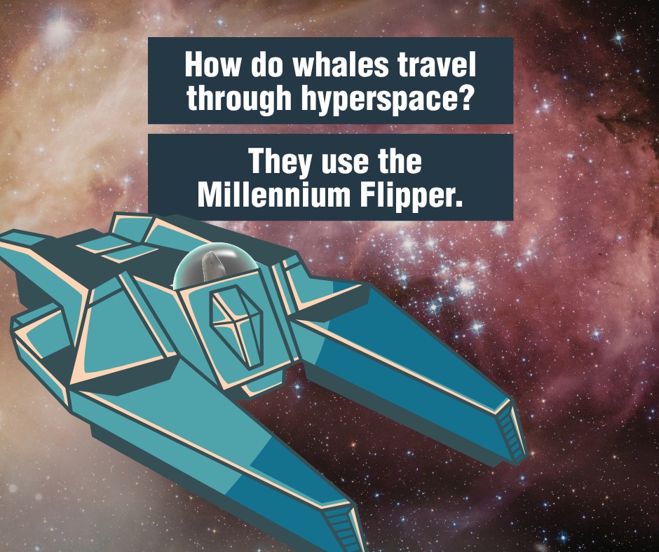 May the “orca” be with you! Happy Star Wars Day! You know the