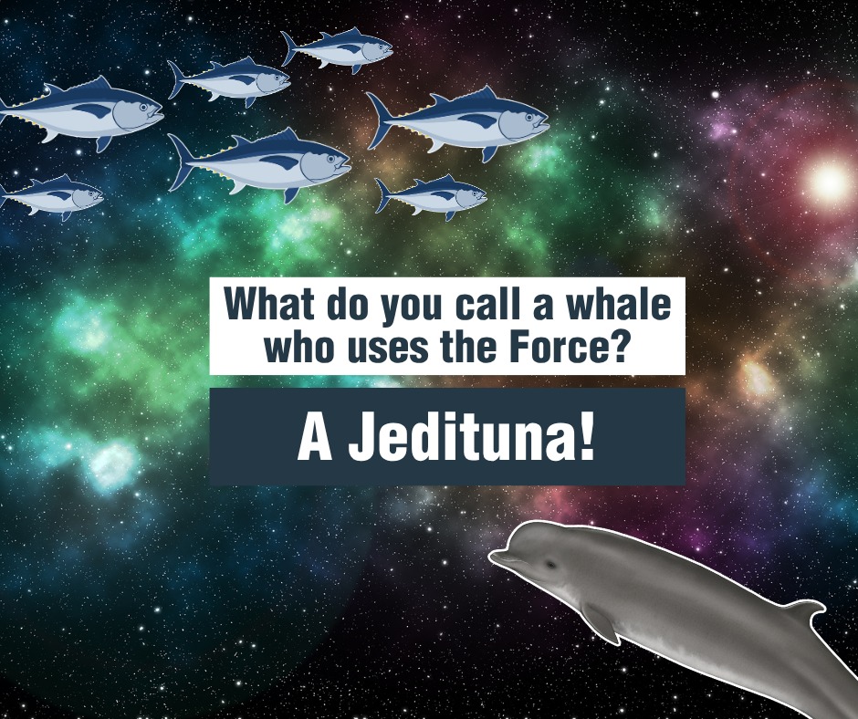 May the “orca” be with you! Happy Star Wars Day! You know the