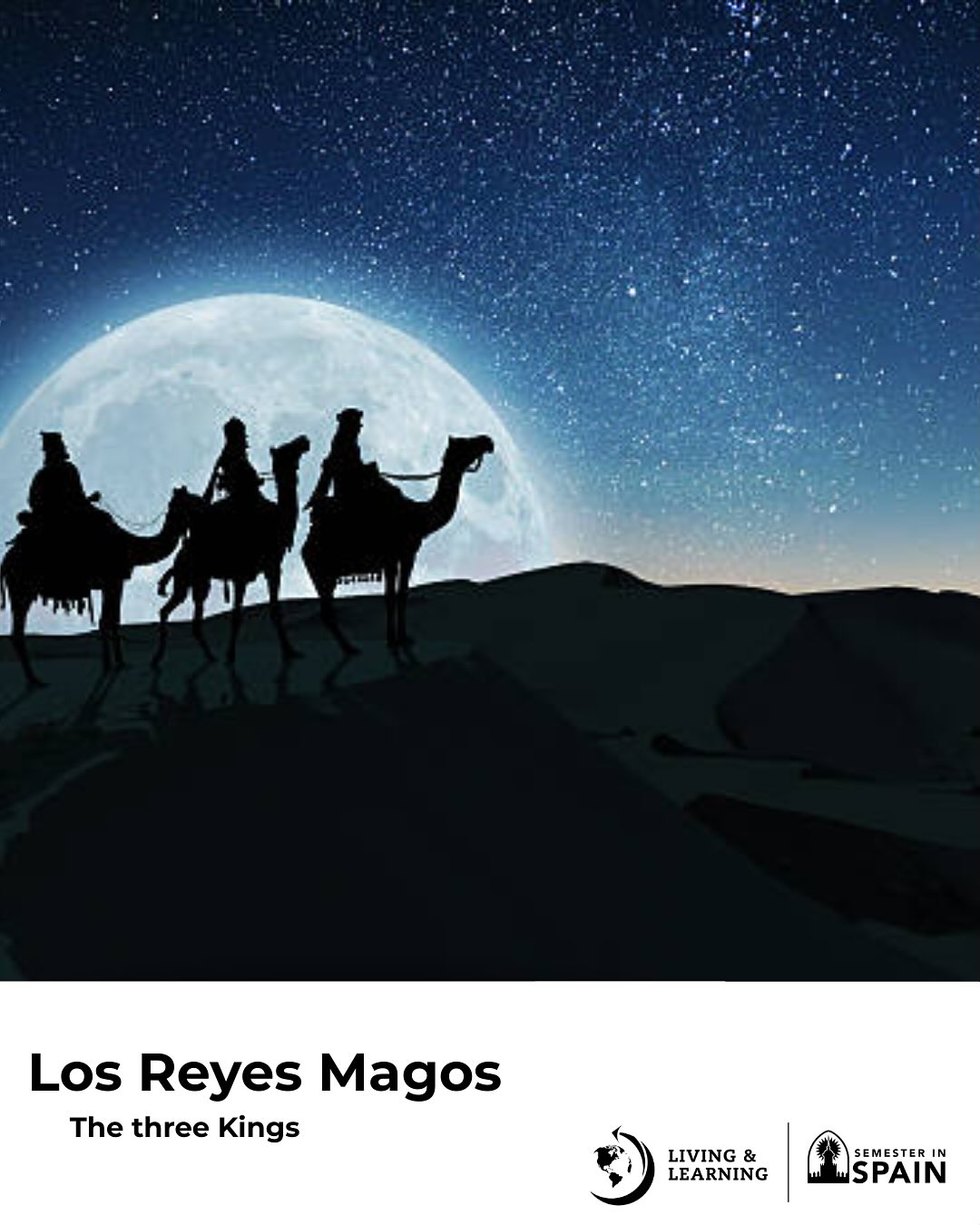 Semester in Spain | Palos Heights IL