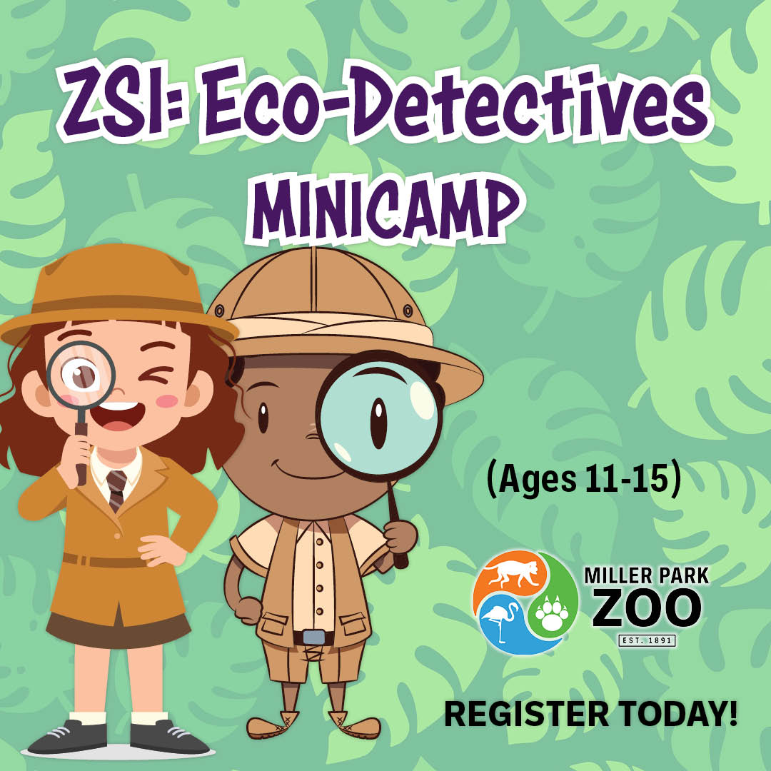 City - 🟠Ages 11-15 - Get ready to crack the case at Miller Park