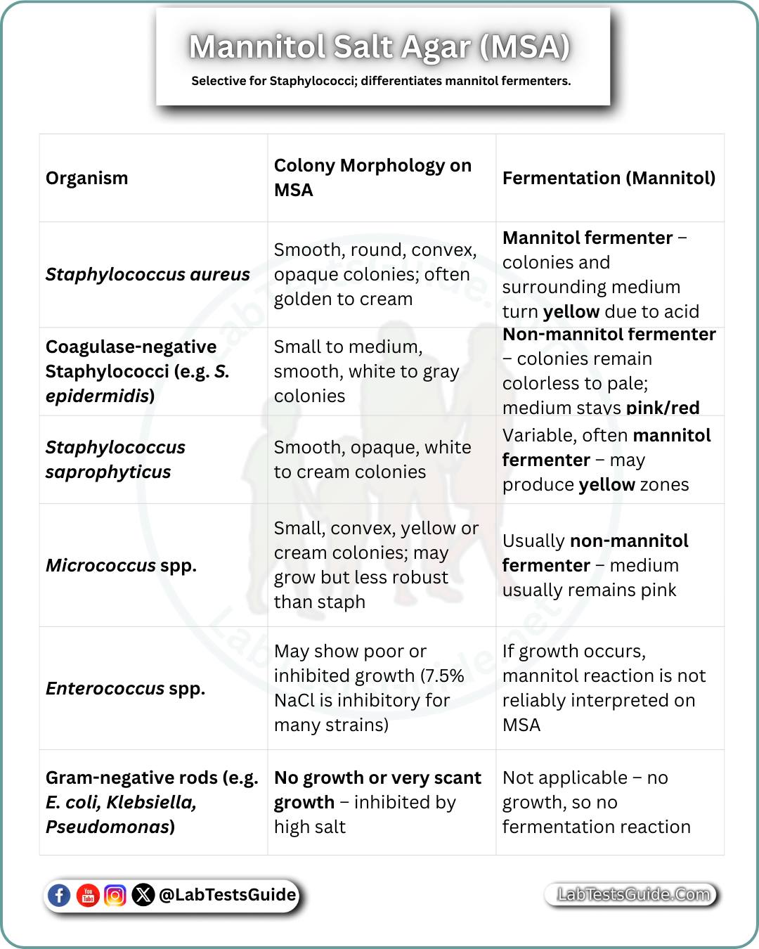 Lab Tests Guide (MLT, DMLT, BMLT, Technologists, Technician) | Mannitol ...