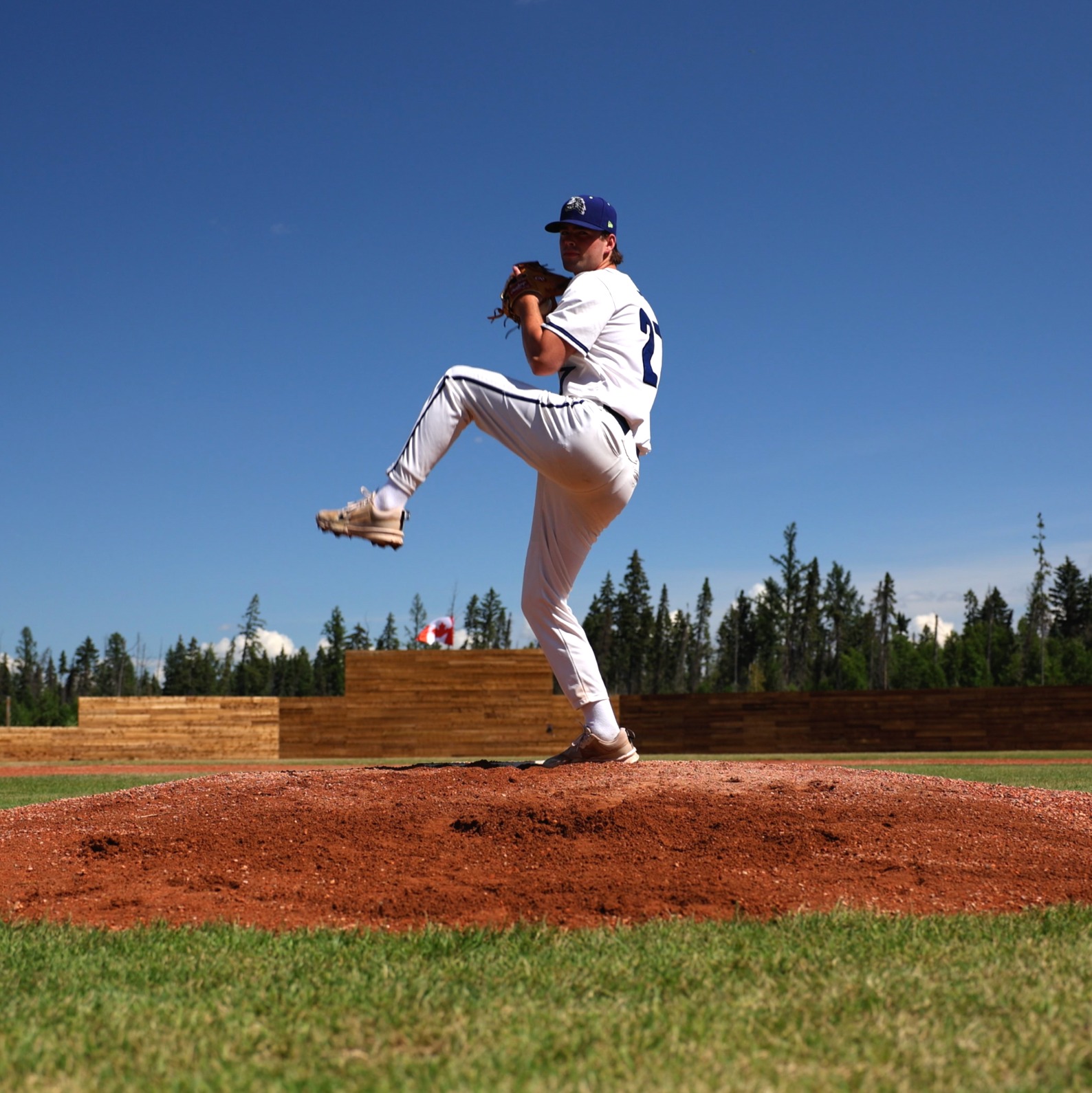 Cactus Rats Baseball