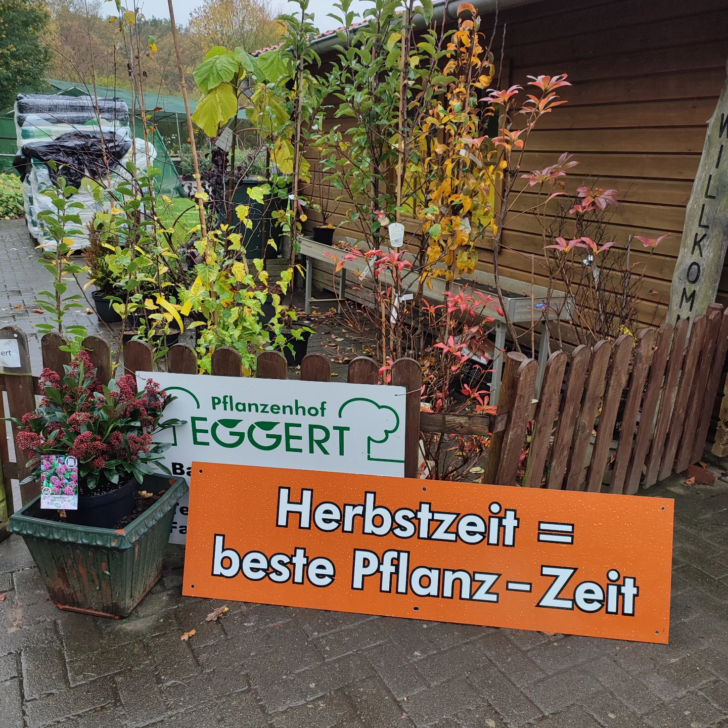 Jawoll! 👍 #Pflanzen #Hecke #Strauch #Garten #Bepflanzung #Staude #Gartengestaltung #Beetgestaltung #Gartenpflege