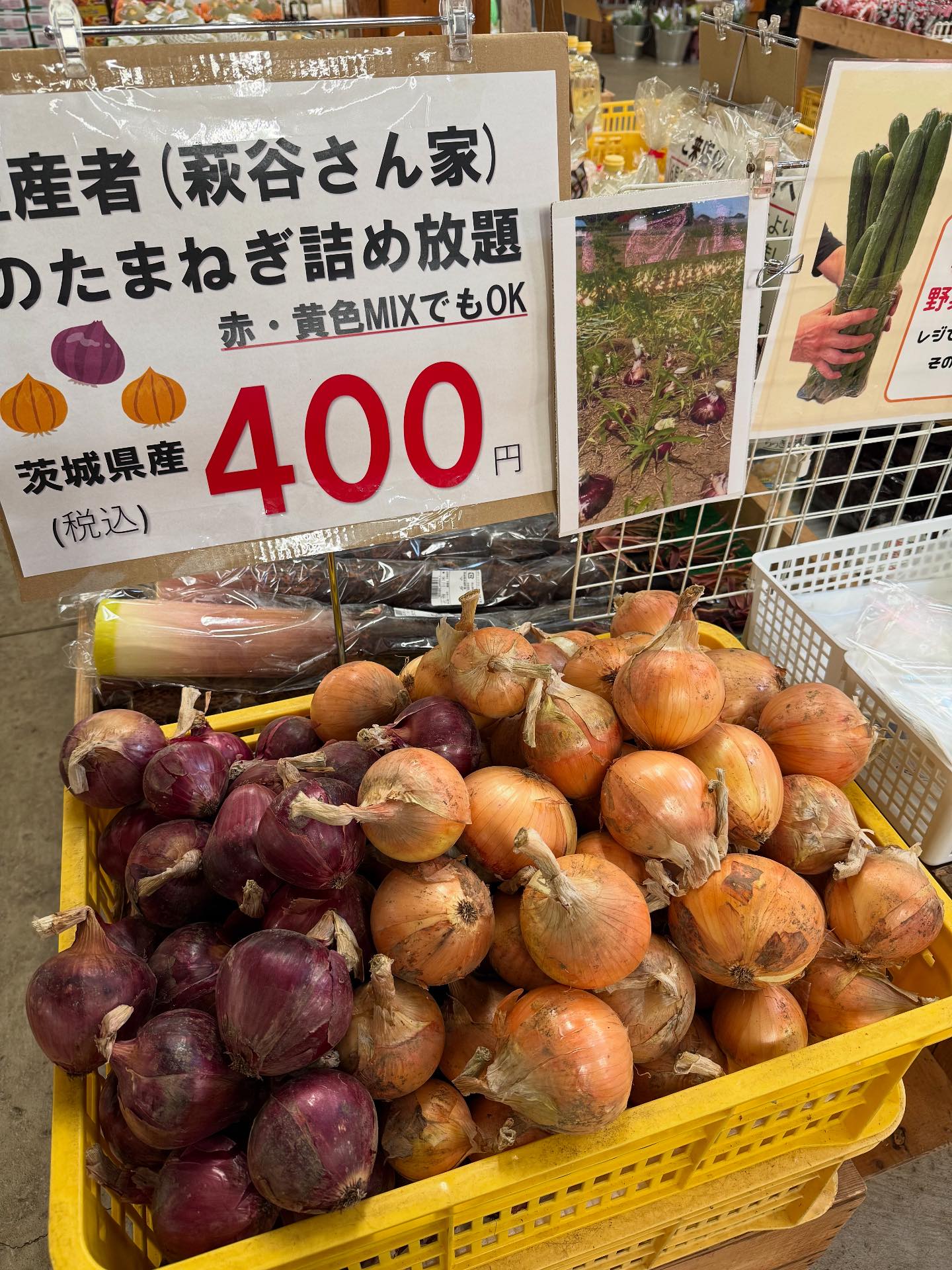 どきどき詰め放題】 6月26日(金)、おはようございます！ ポケット