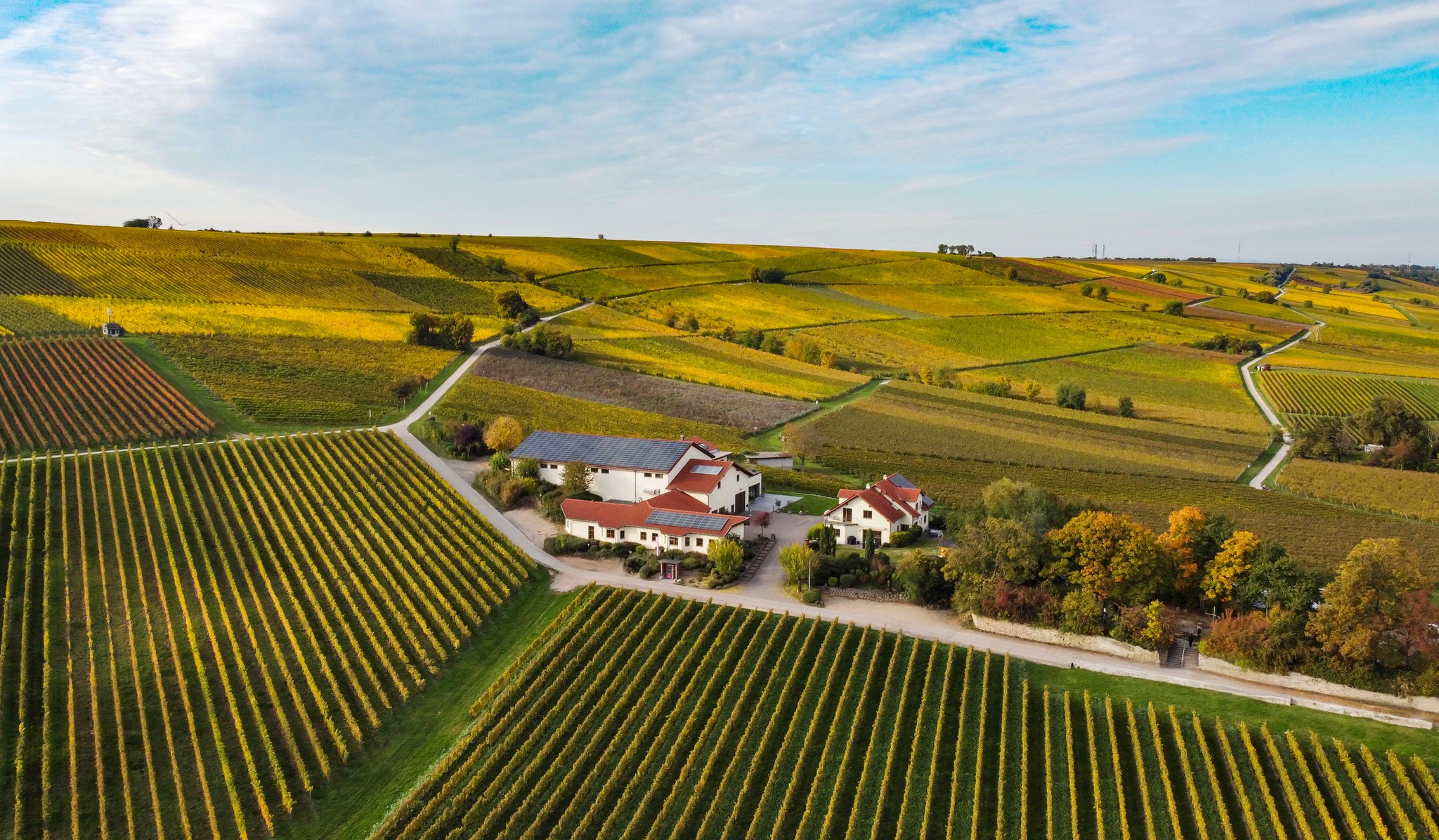 Weingut Gauer | Bodenheim