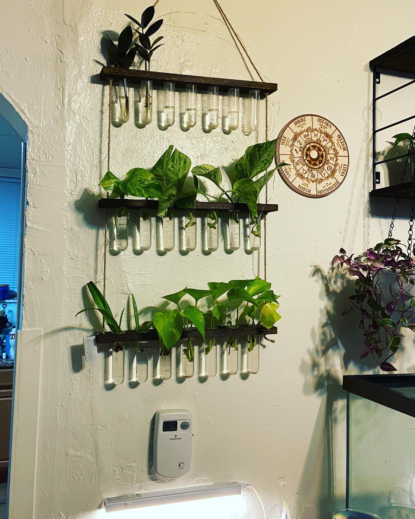 IvysOasis - The prop racks/tables are getting full in...