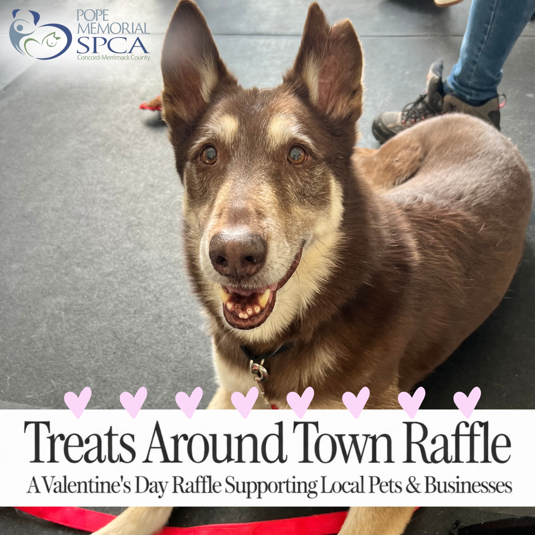 Pope - LAST DAY TO ENTER! 💘 Our Treats Around Town Raffle closes today ...