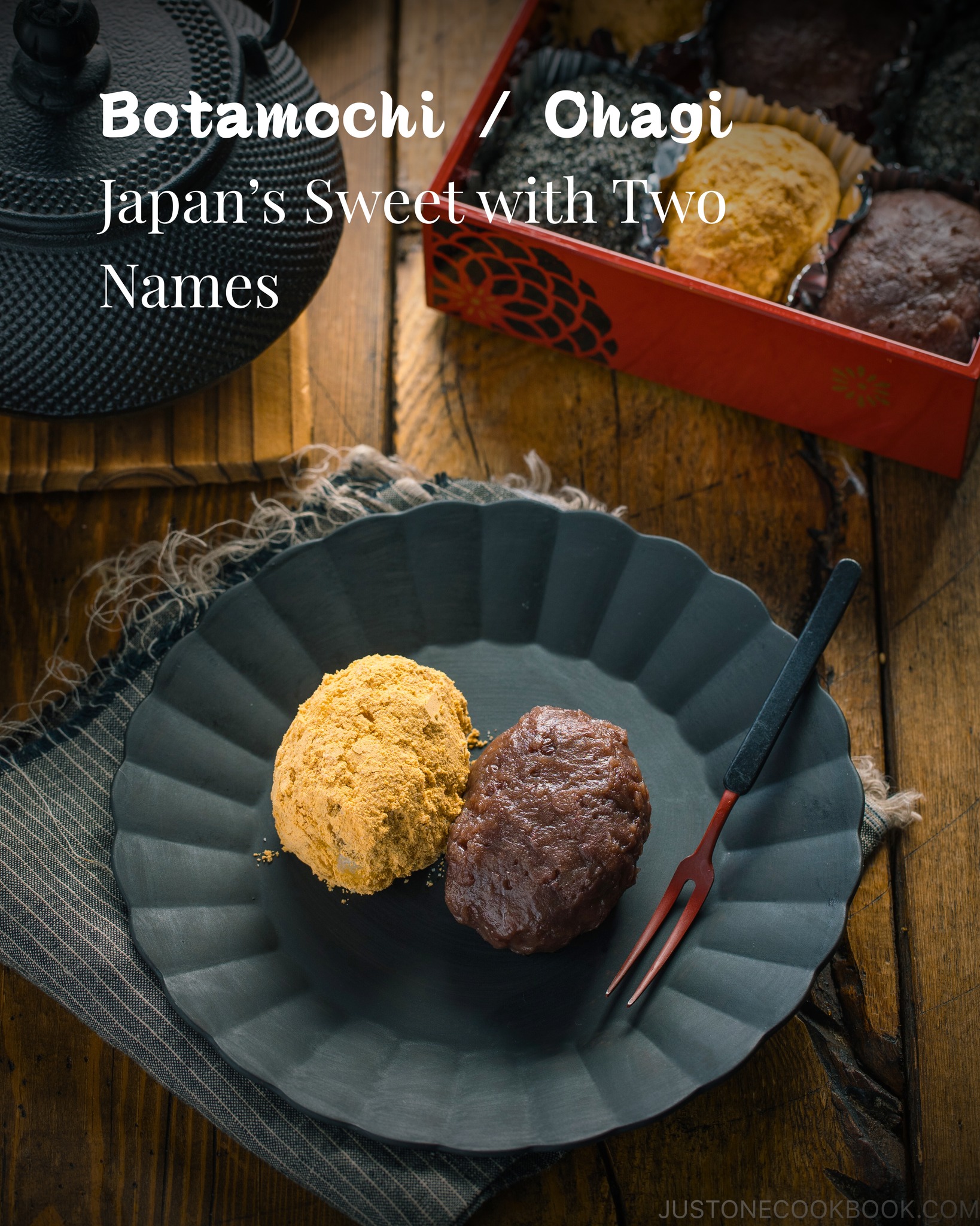 Botamochi (ぼたもち) — a traditional Japanese sweet with over 