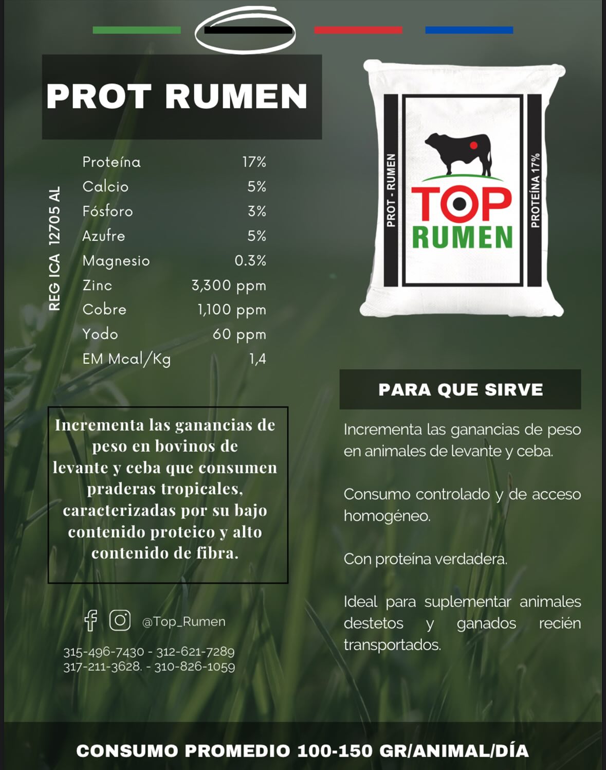 TOP RUMEN | Pereira