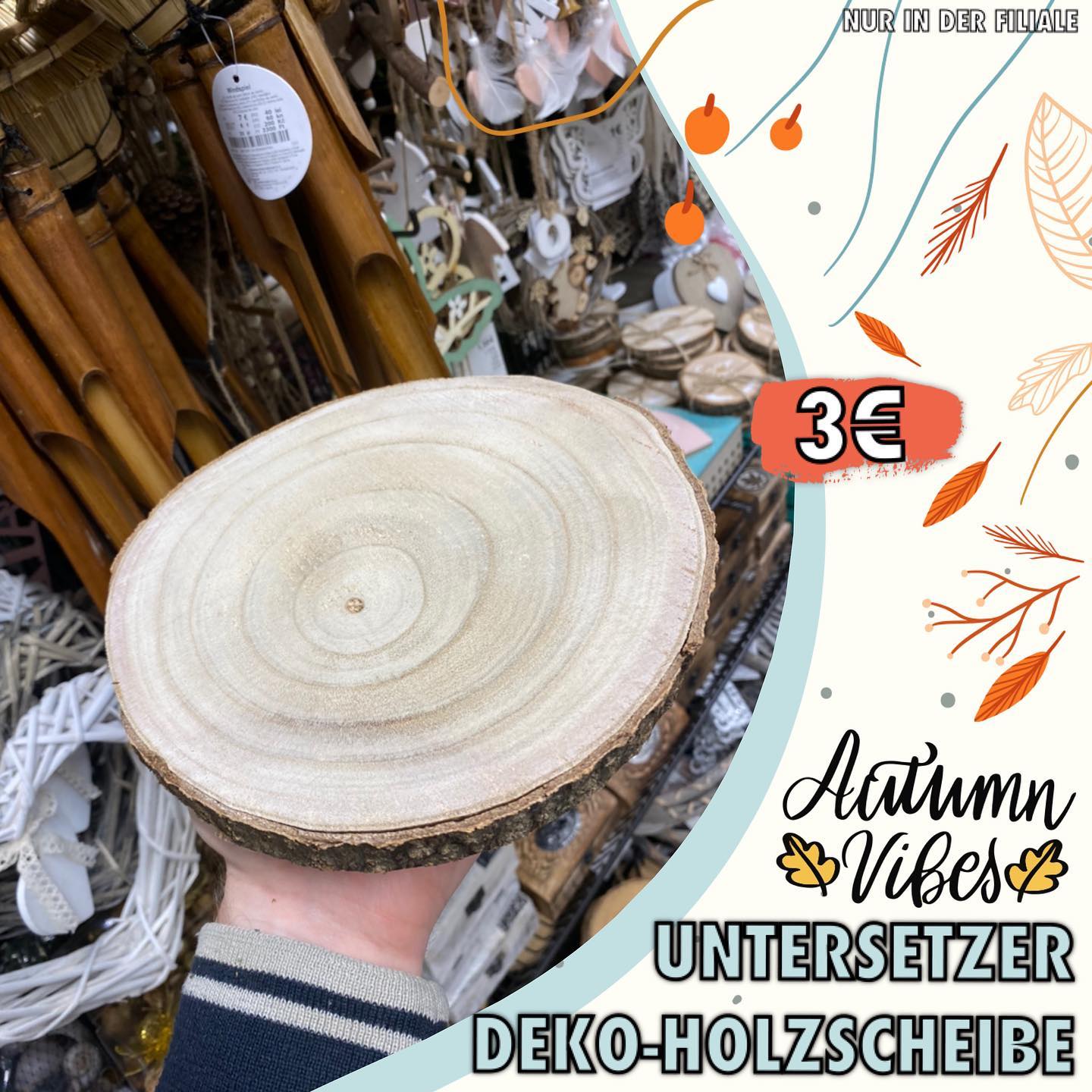 Für Naturliebhaber ein echter Hingucker. 🪵 • • • #decoration #untersetzer #home #deko #zuhause #dekorationsideen #tedi #einrichtungsideen