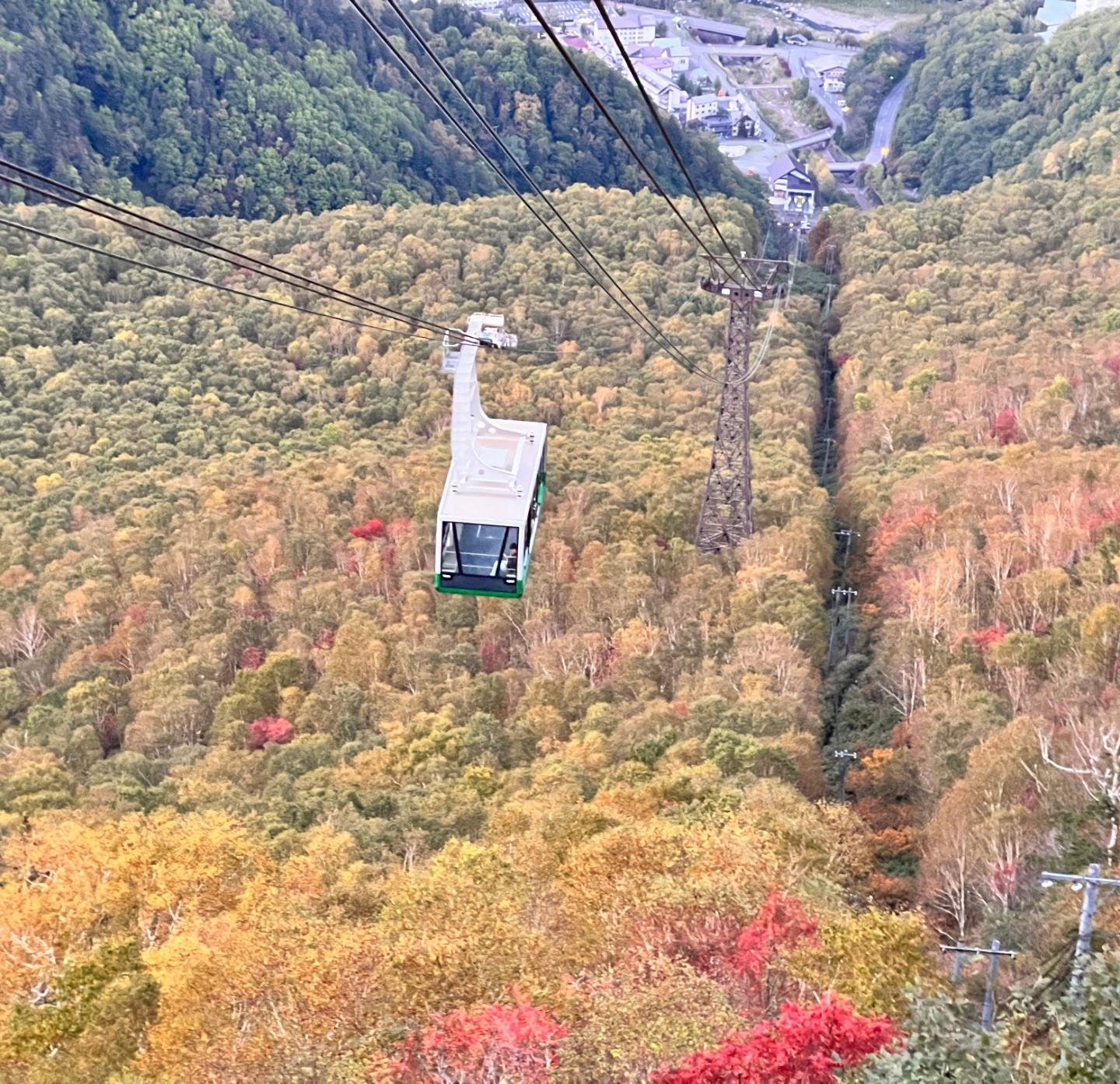 2026.9.27 車窓から見られる紅葉が色濃くなってきました🍁 まだの方は